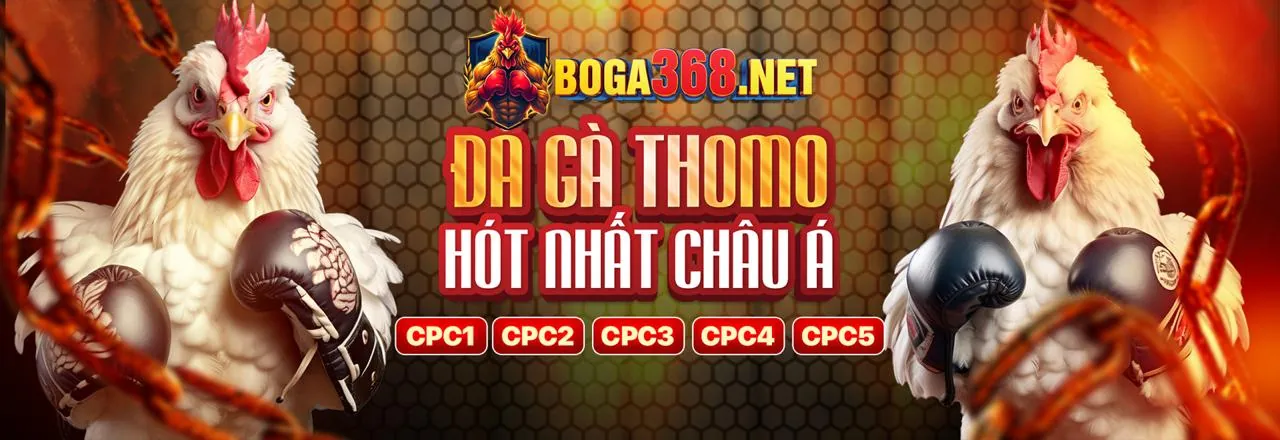 Mẹo cá cược thể thao SBOBET